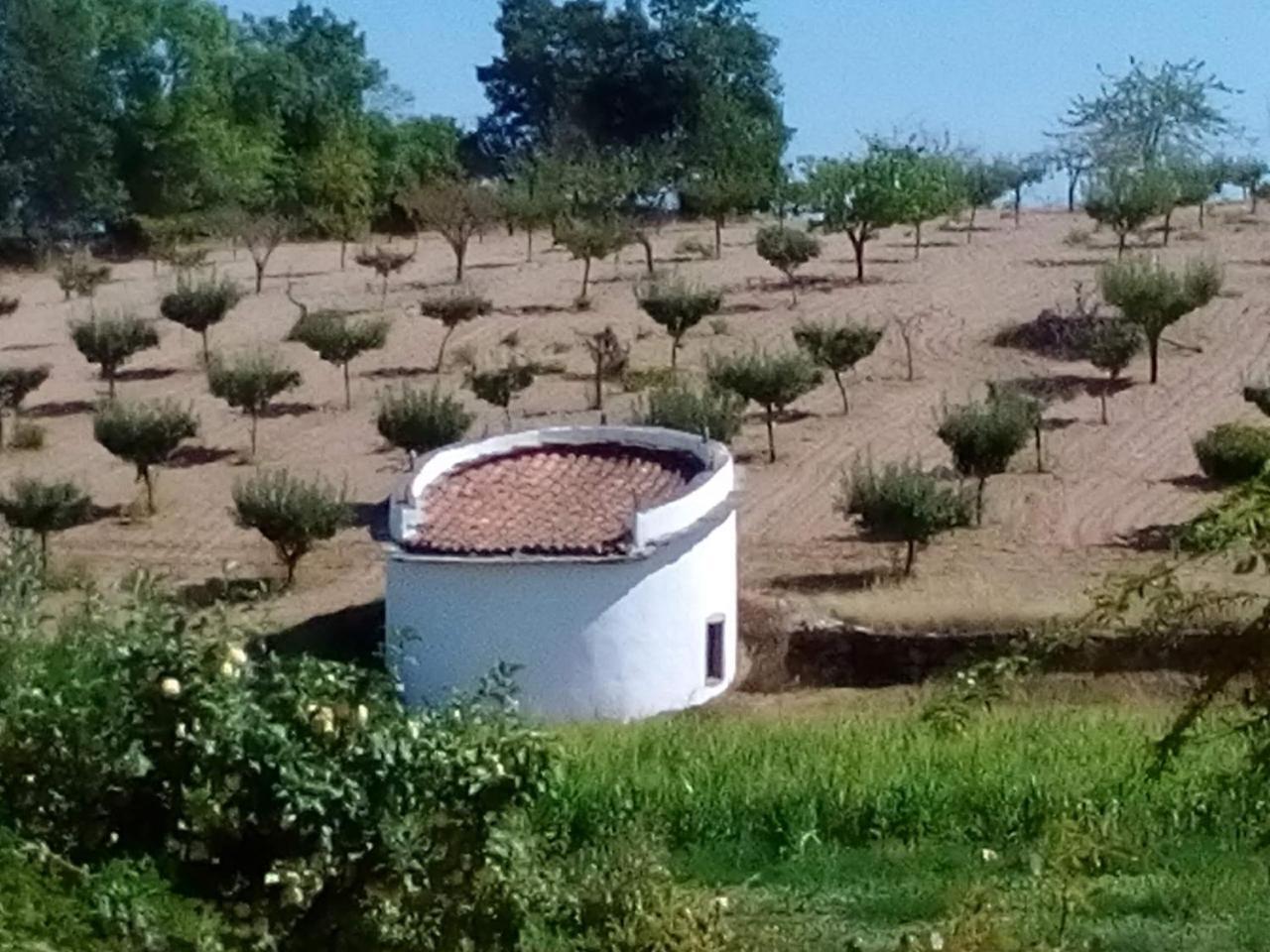 Willa Casa Dos Pombais De Cacarelhos Rural Zewnętrze zdjęcie